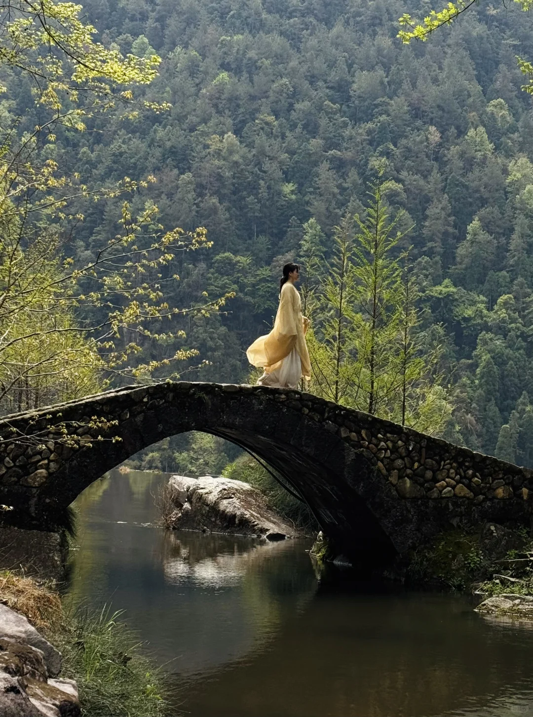感谢白斩鸡 圆我武侠梦