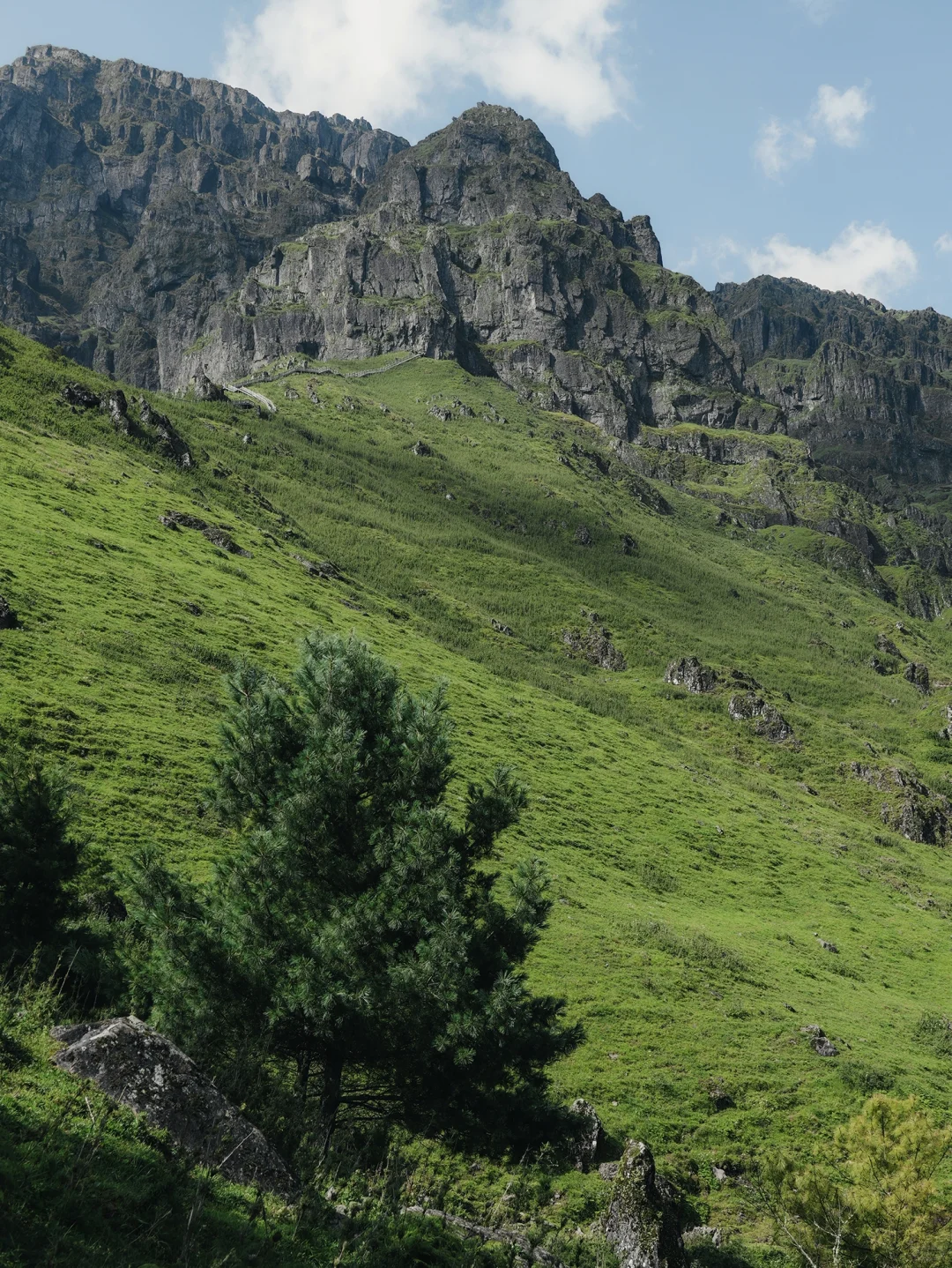 我宣布！这是昆明周边最像新西兰⛰️的地方