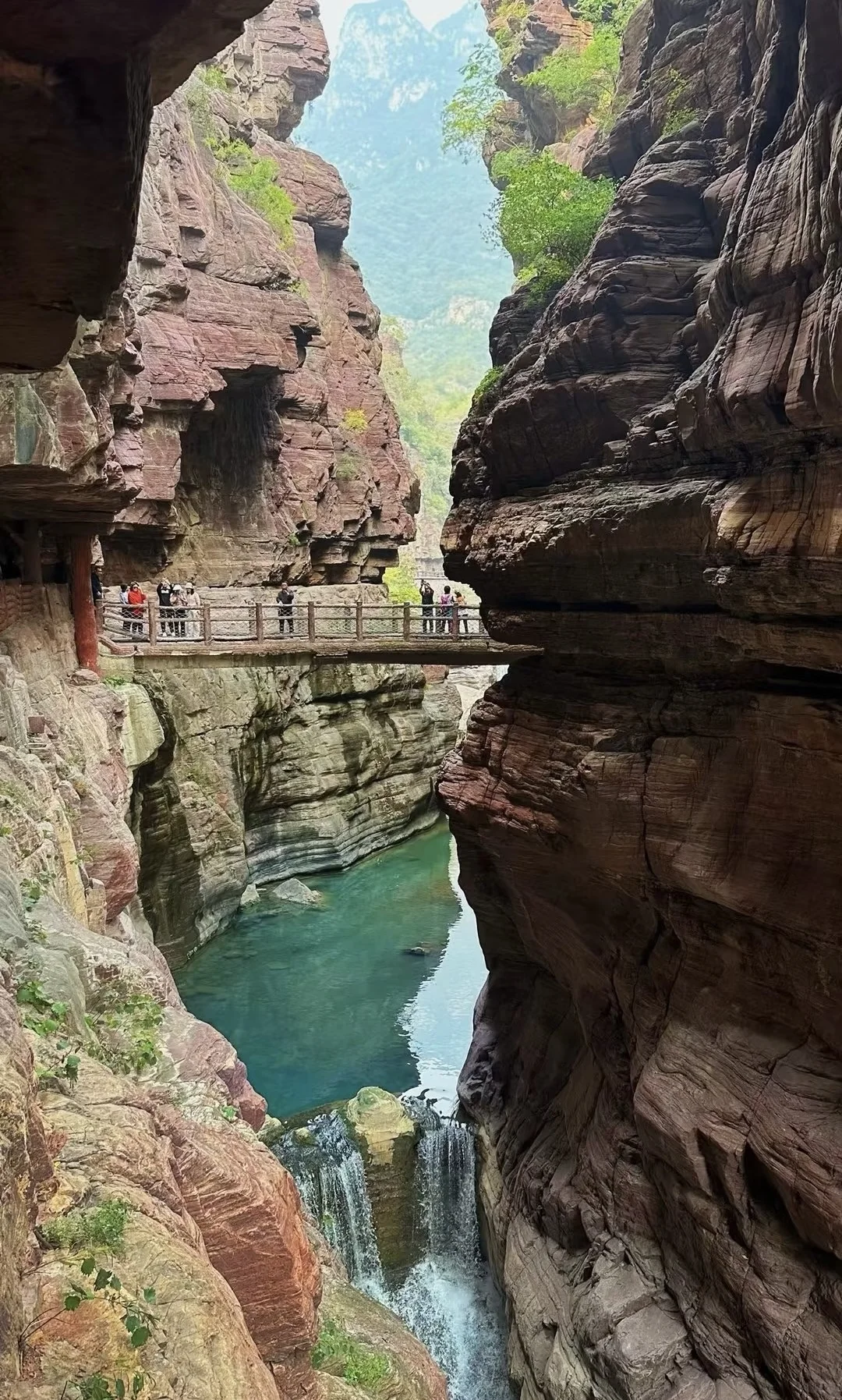 清明拒绝人挤人【河南小众】春日秘境🌸