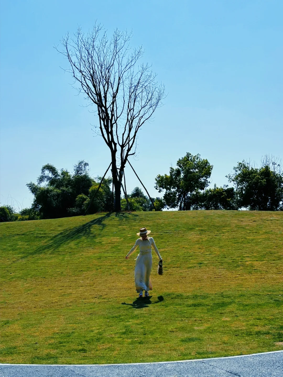 乐山」老城区被低估的公园，美到next level了