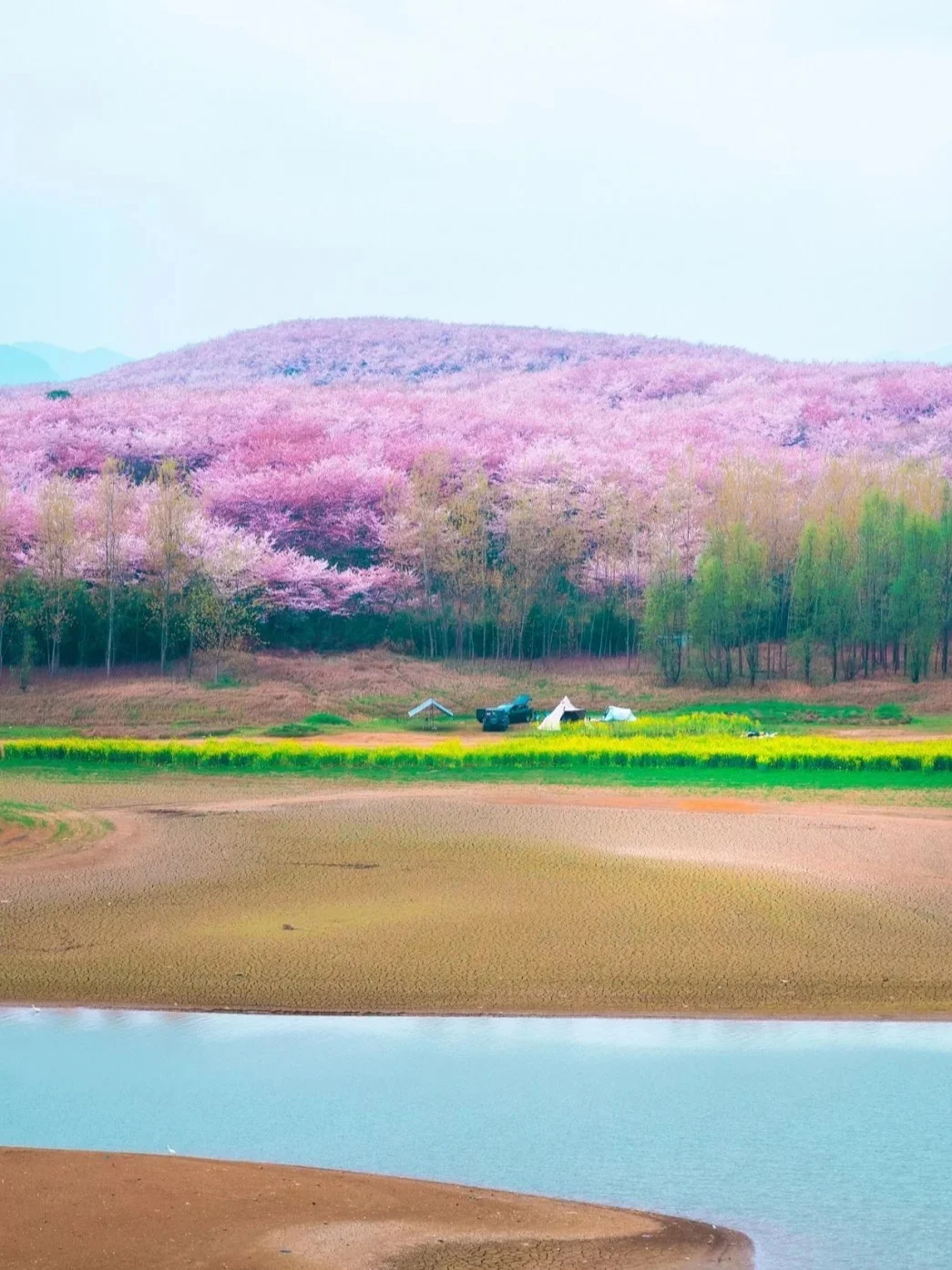 3-5月安顺旅游攻略🌸小众宝藏地大揭秘✨