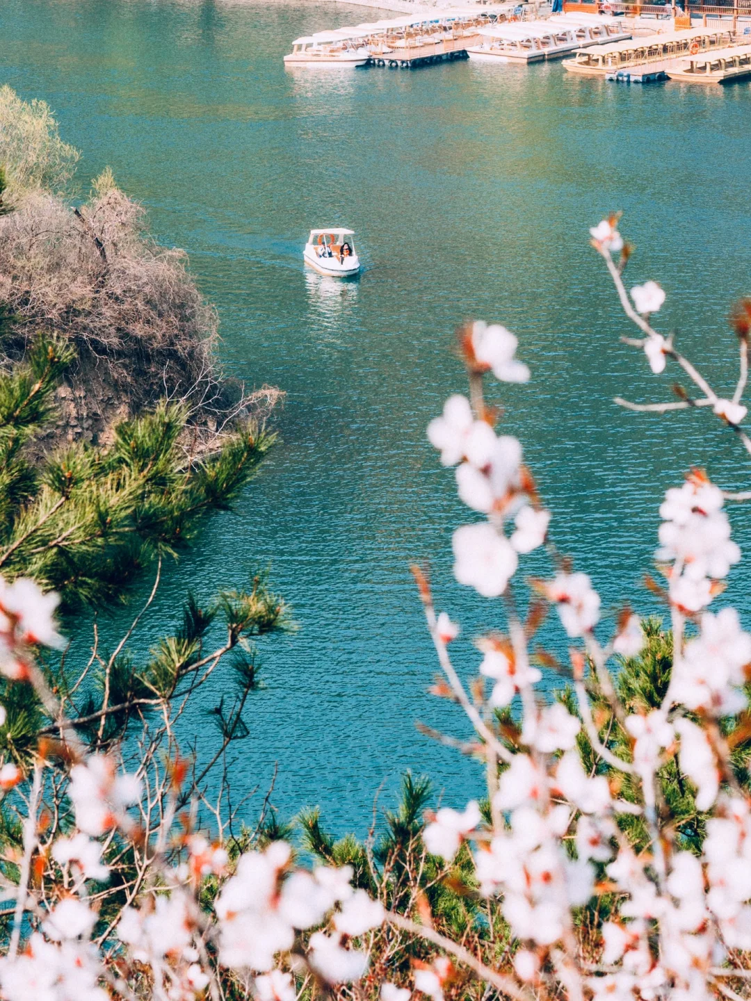 清明去京郊❗️山桃花➕长城➕湖泊，附线路攻略