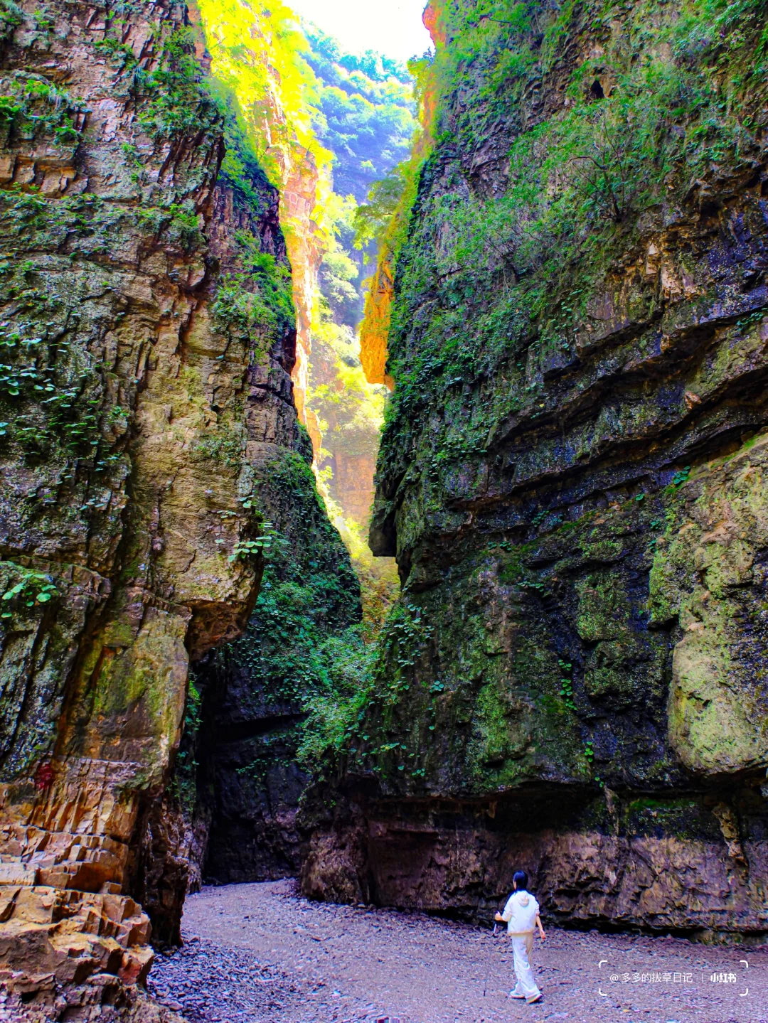 4.1北京春天超神秘峡谷今天开放啦❗️附地图