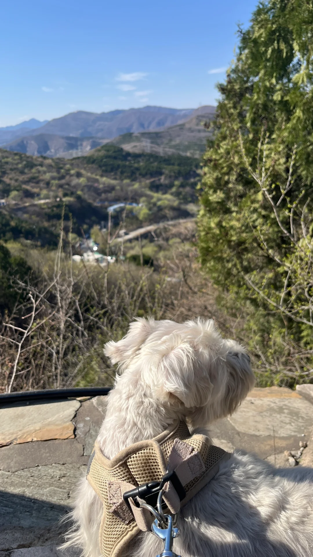 春风拂面时，又可以爬山了