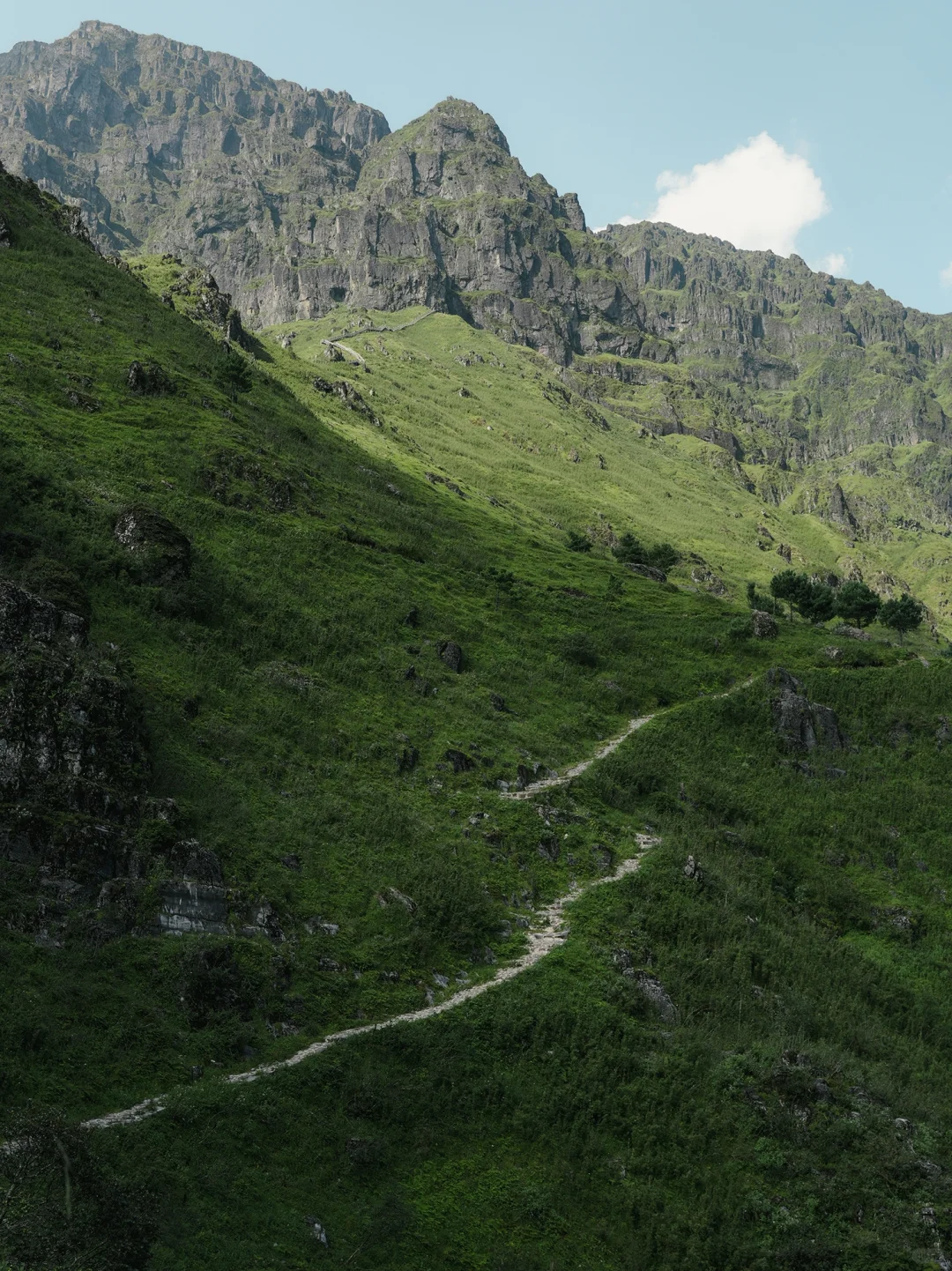 我宣布！这是昆明周边最像新西兰⛰️的地方