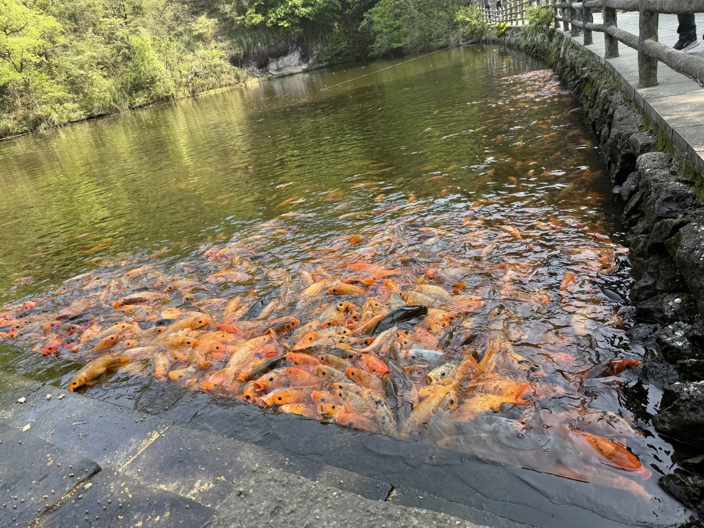 一步一景，人在画中游～