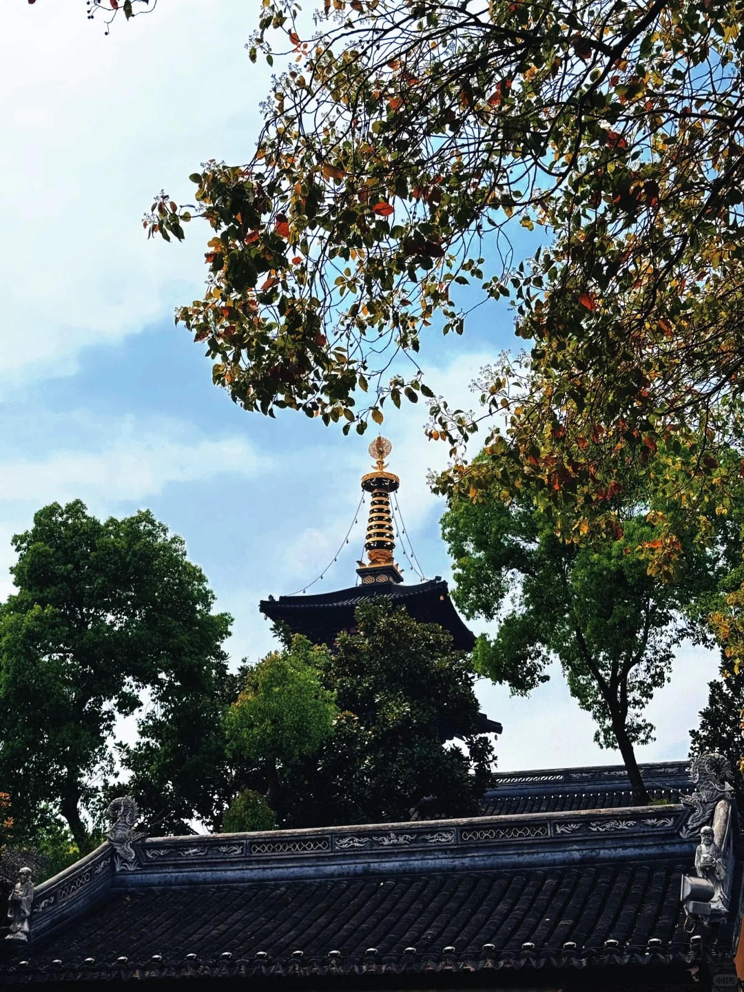 古色古香的地方📷真的很美