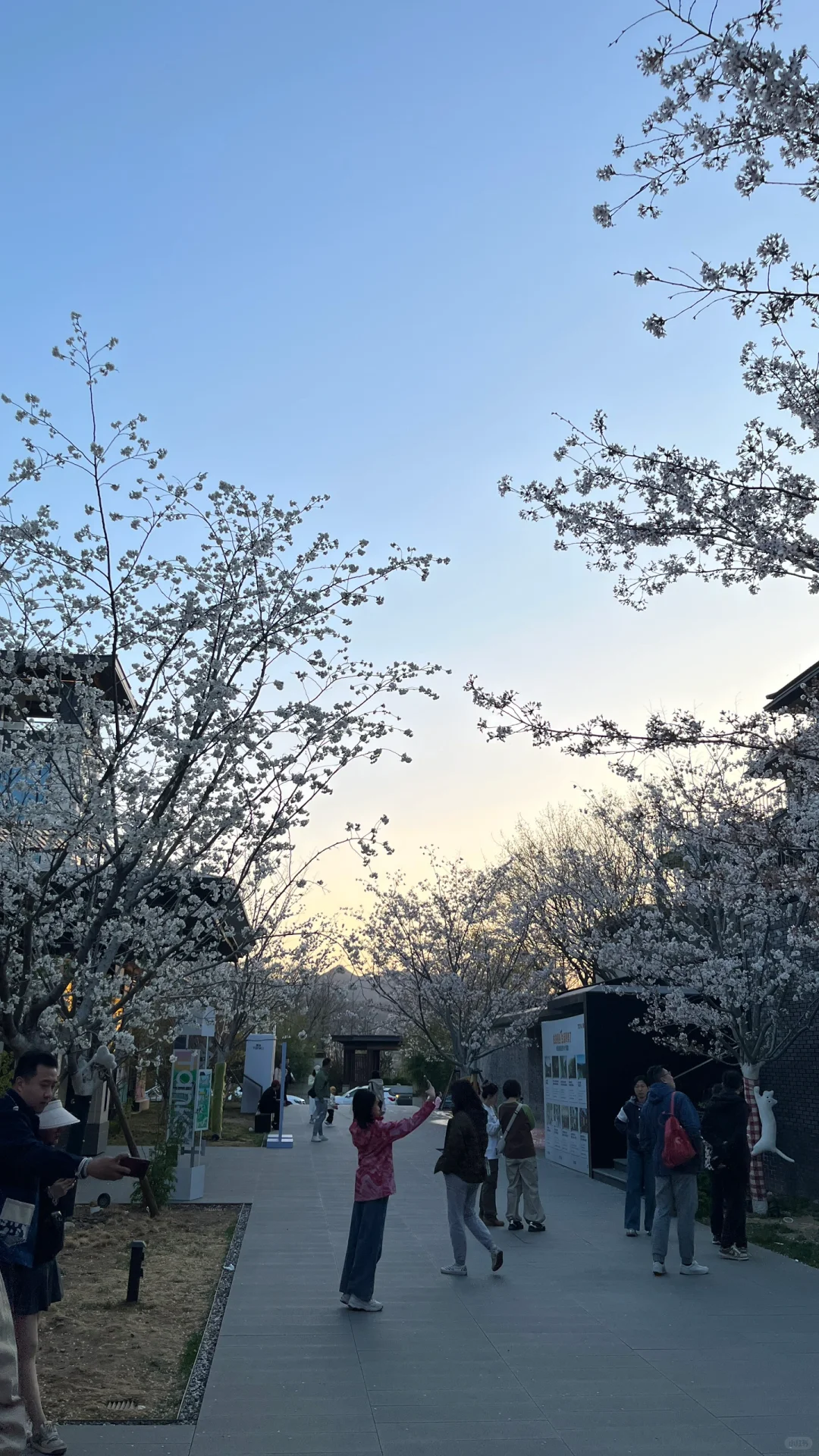 春风拂面时，又可以爬山了