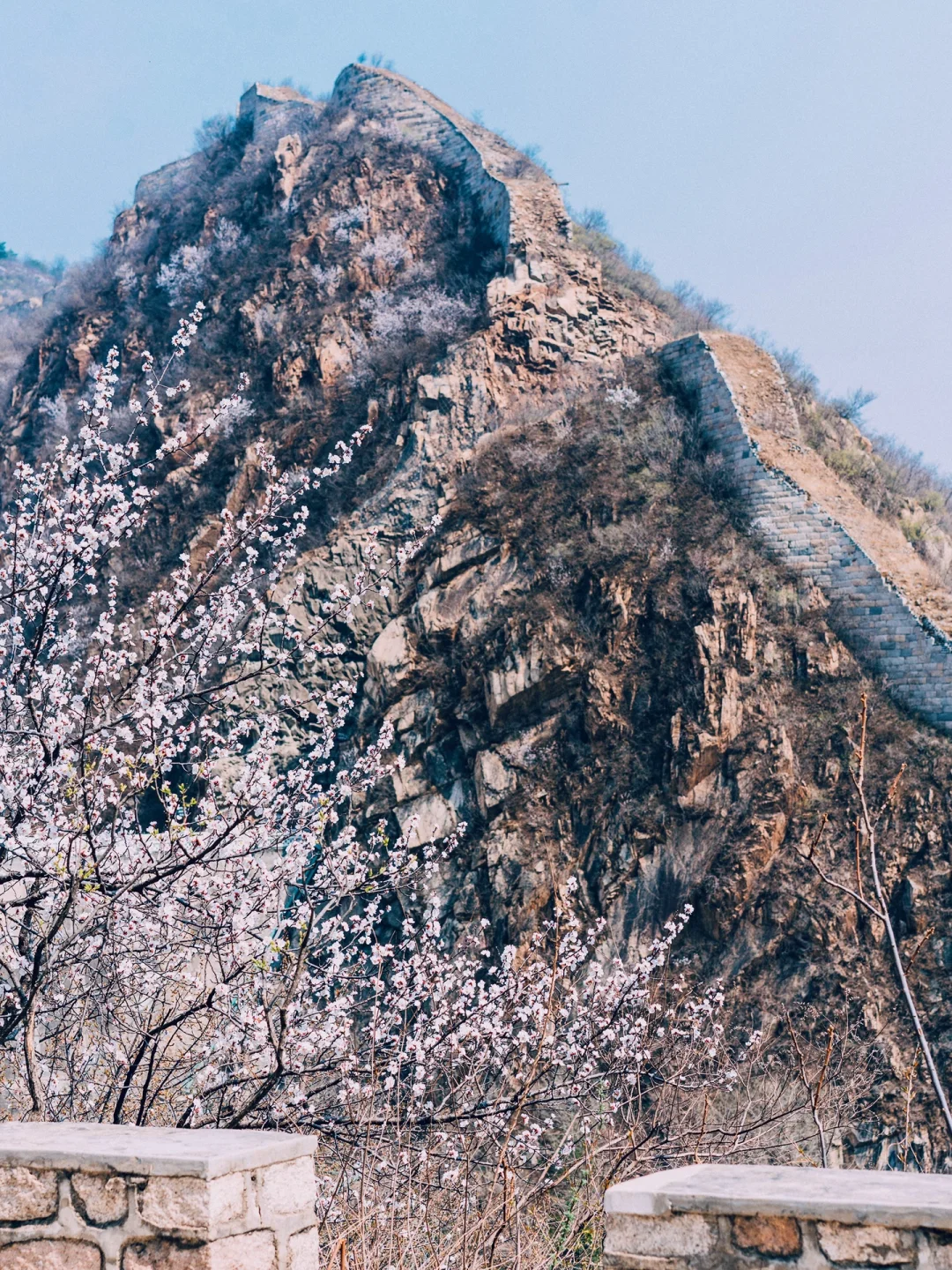 清明去京郊❗️山桃花➕长城➕湖泊，附线路攻略