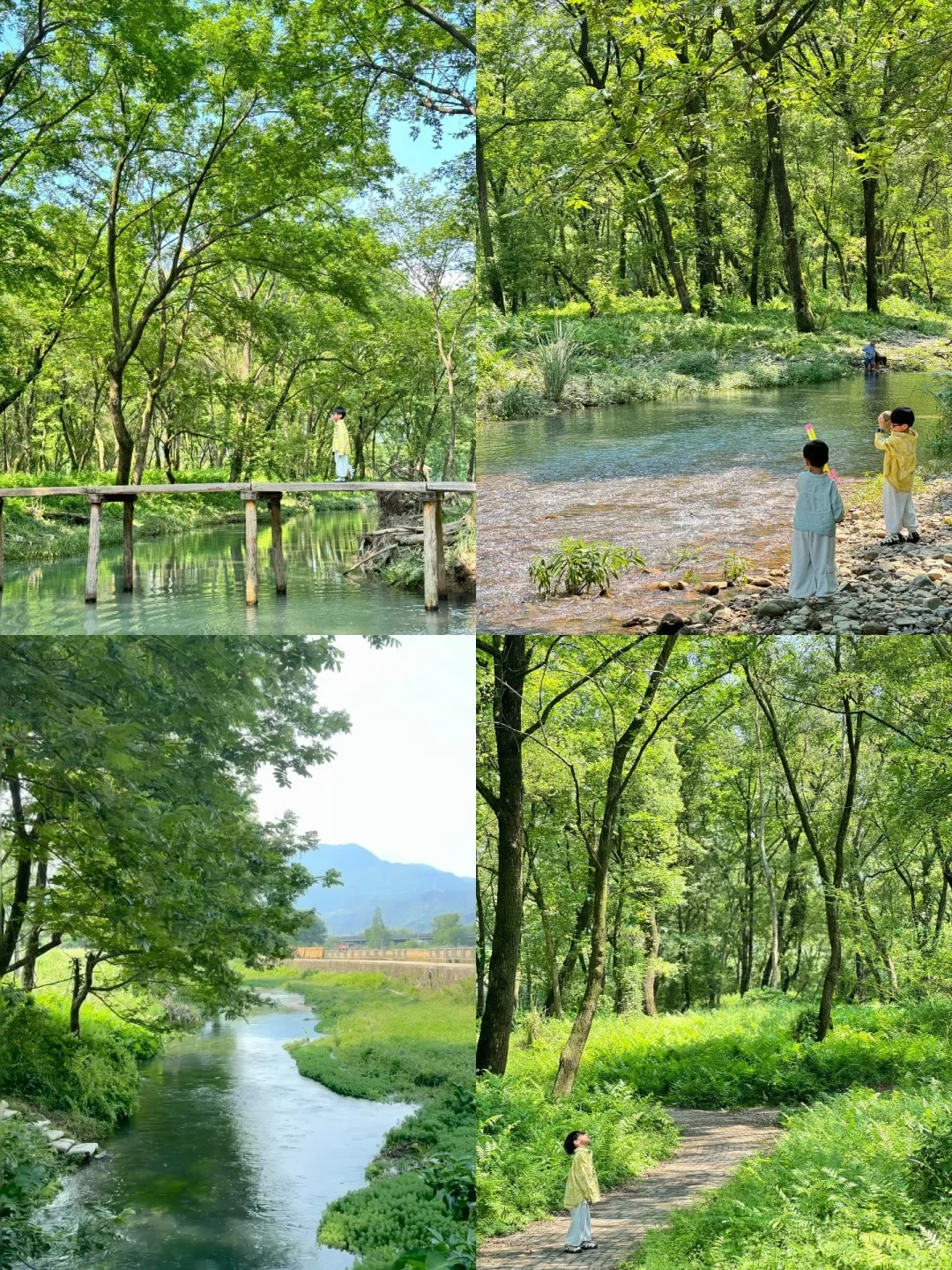 整理好了❗️温州清明宝藏户外遛娃地合集推荐