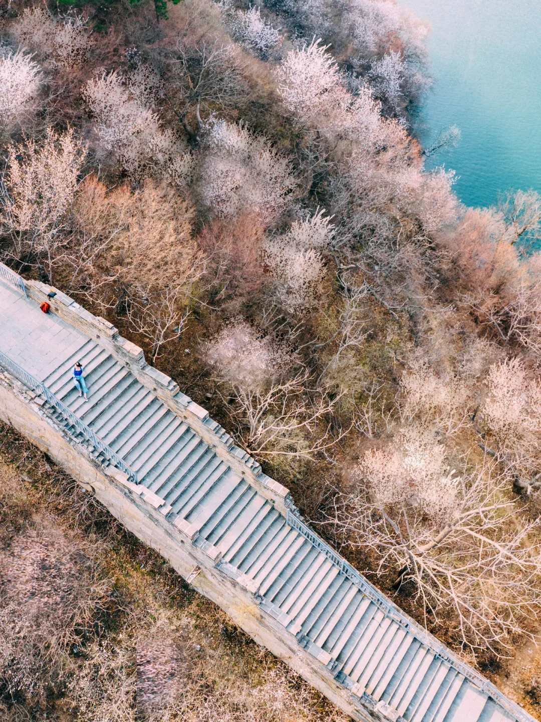 清明去京郊❗️山桃花➕长城➕湖泊，附线路攻略