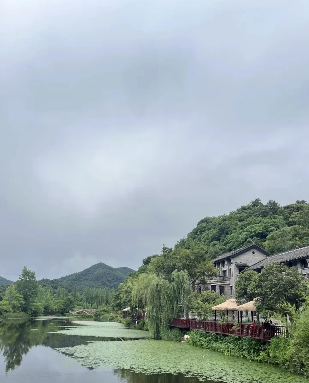 清明拒绝人挤人【河南小众】春日秘境🌸