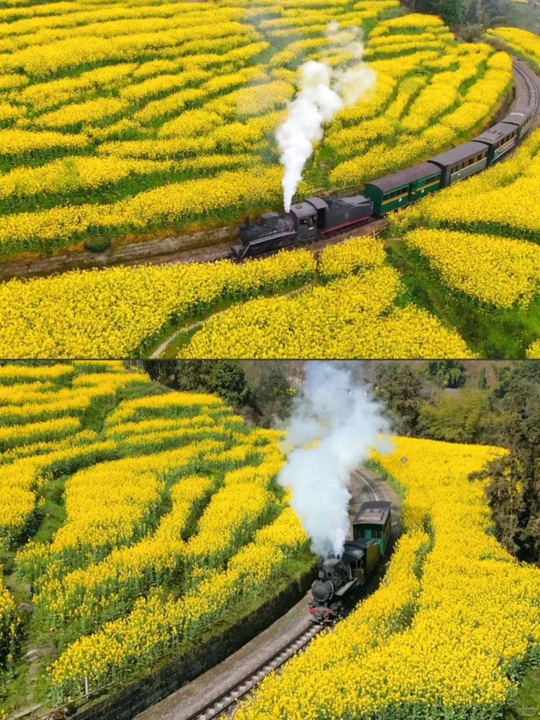 国内3月-4月去哪儿玩？