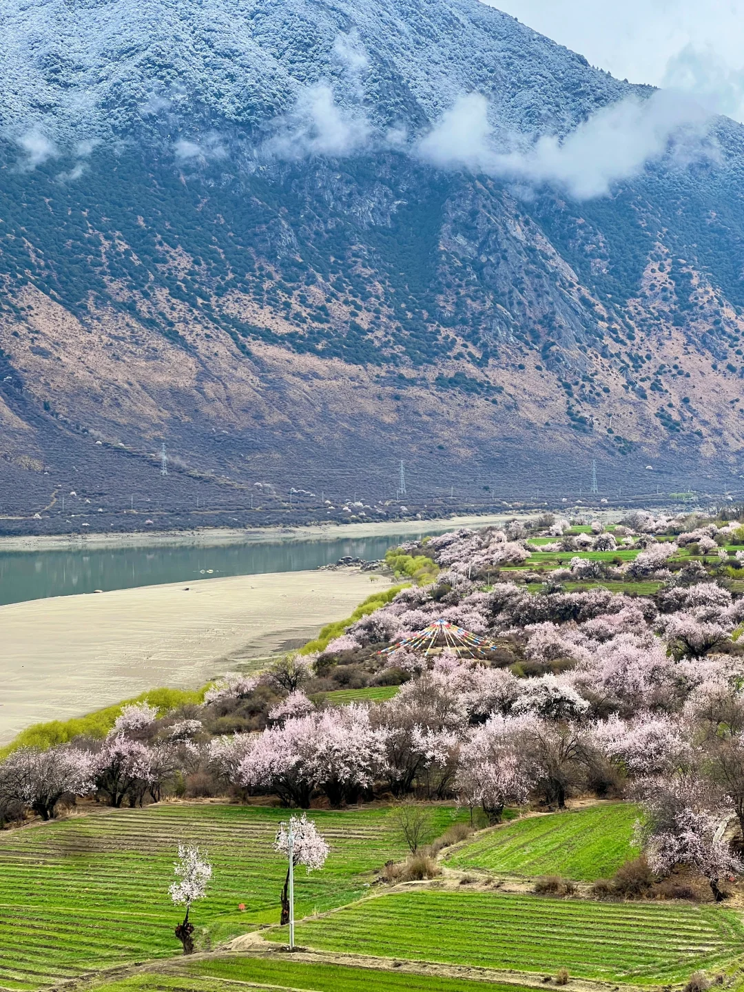 林芝｜雅鲁藏布大峡谷，已投诉
