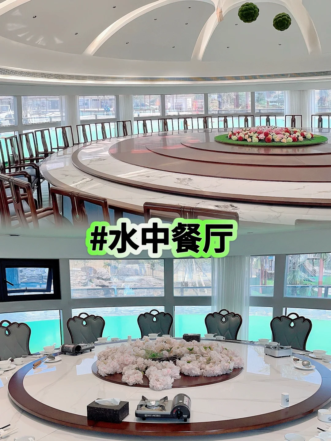 樱花海💢美到窒息，不用去武汉人挤人啰‼️