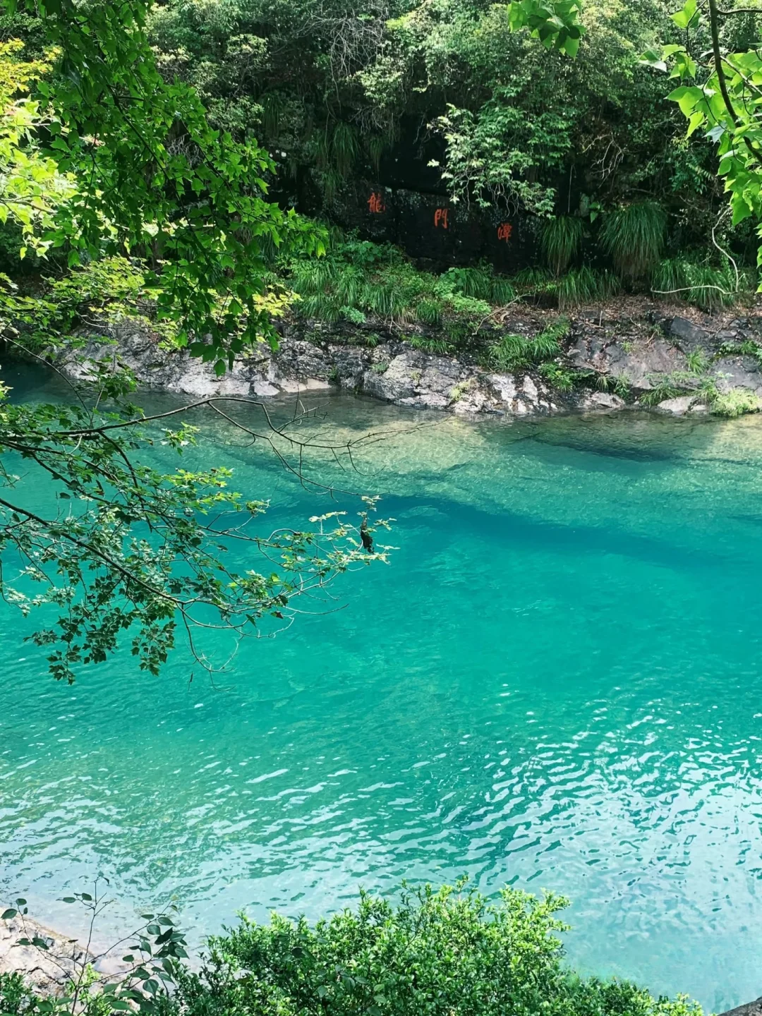 「江浙沪周边」4条绝美自驾路线，周末说走就走