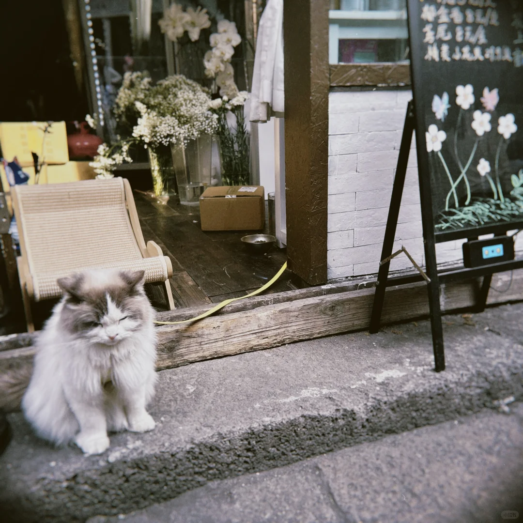 总要去一次衢州吧