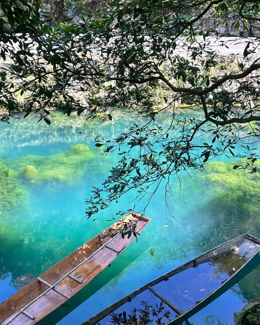 贵州避雷团旅行攻略