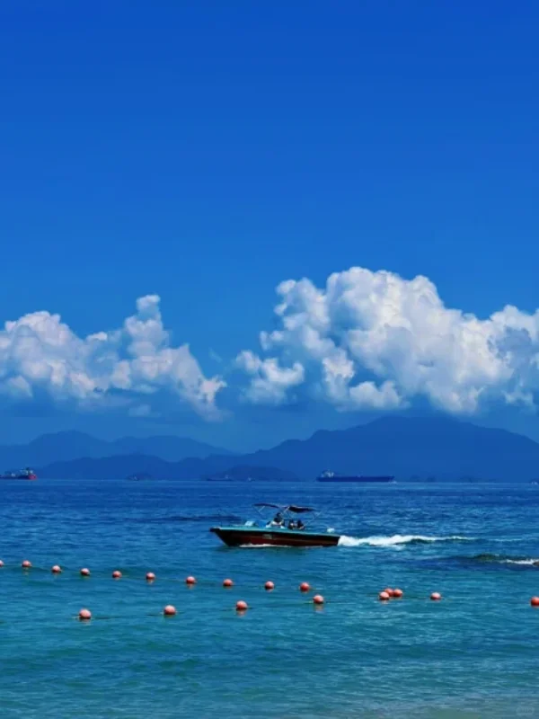 🌼惠州已经回归，强烈建议大家最好不要去惠州了……