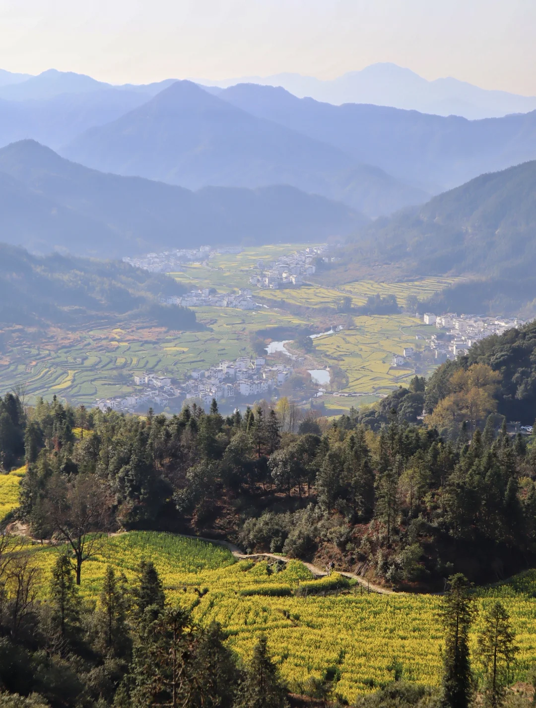 婺源油菜花❗️江岭比篁岭更好看❗️