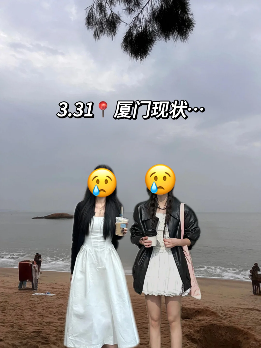 3.31📍厦门已回。。。三个人都崩溃了🥲