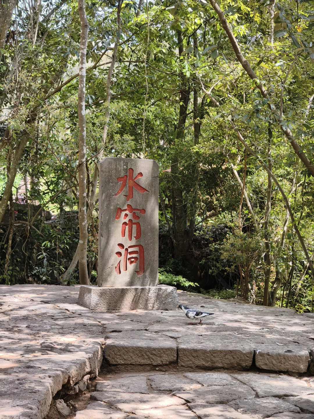 武夷山三日游🏔人均1.5k松弛感旅游攻略②