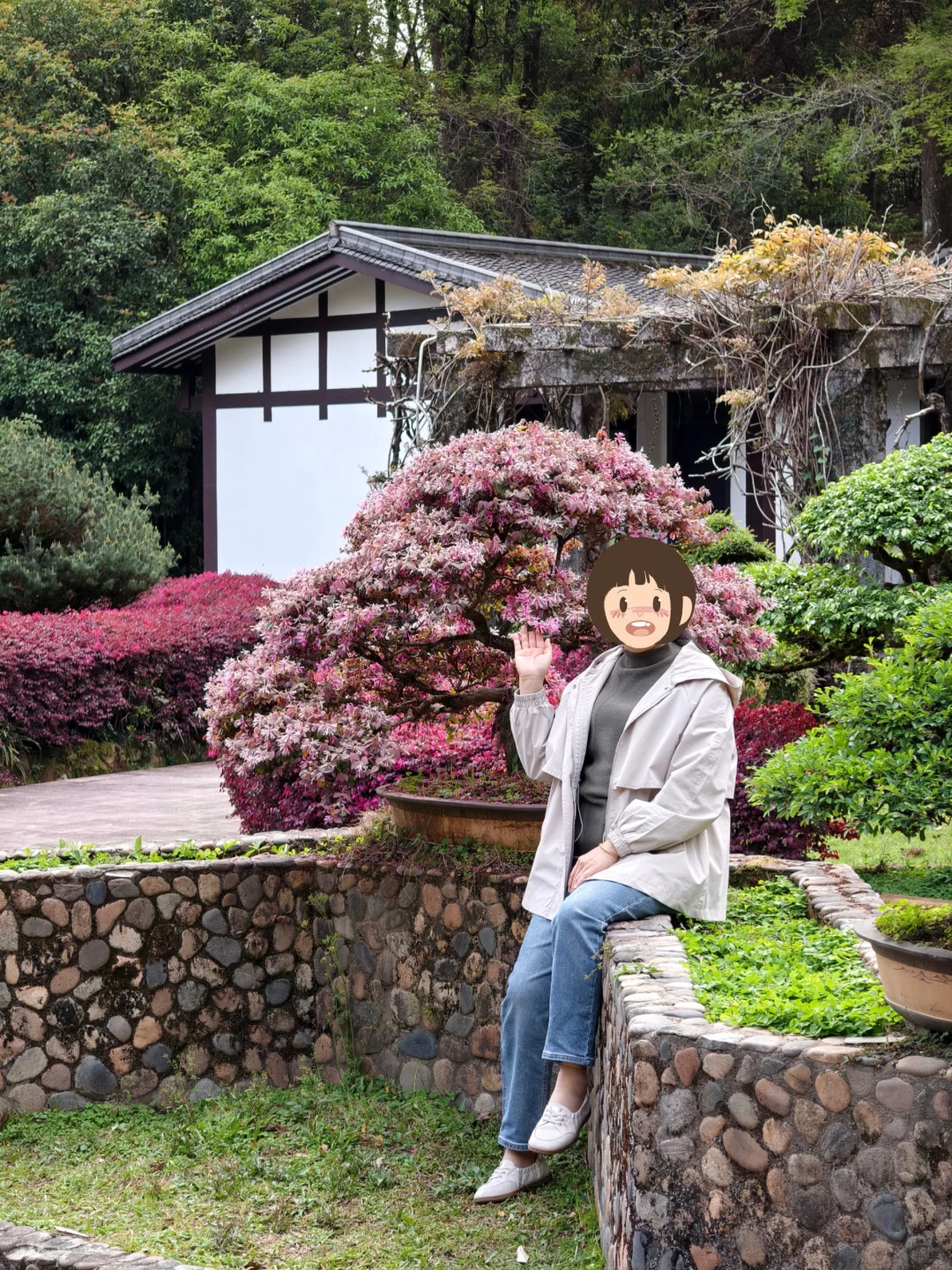 武夷山三日游🏔人均1.5k松弛感旅游攻略②