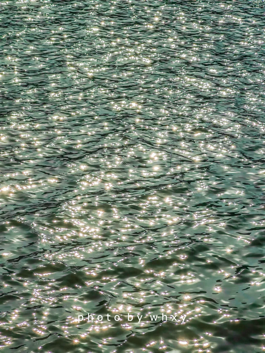 嘉兴海盐一日游，杭州周边1h+半径圈去班味