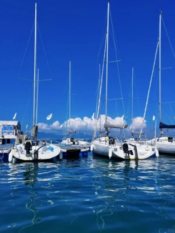 🌼惠州已经回归，强烈建议大家最好不要去惠州了……