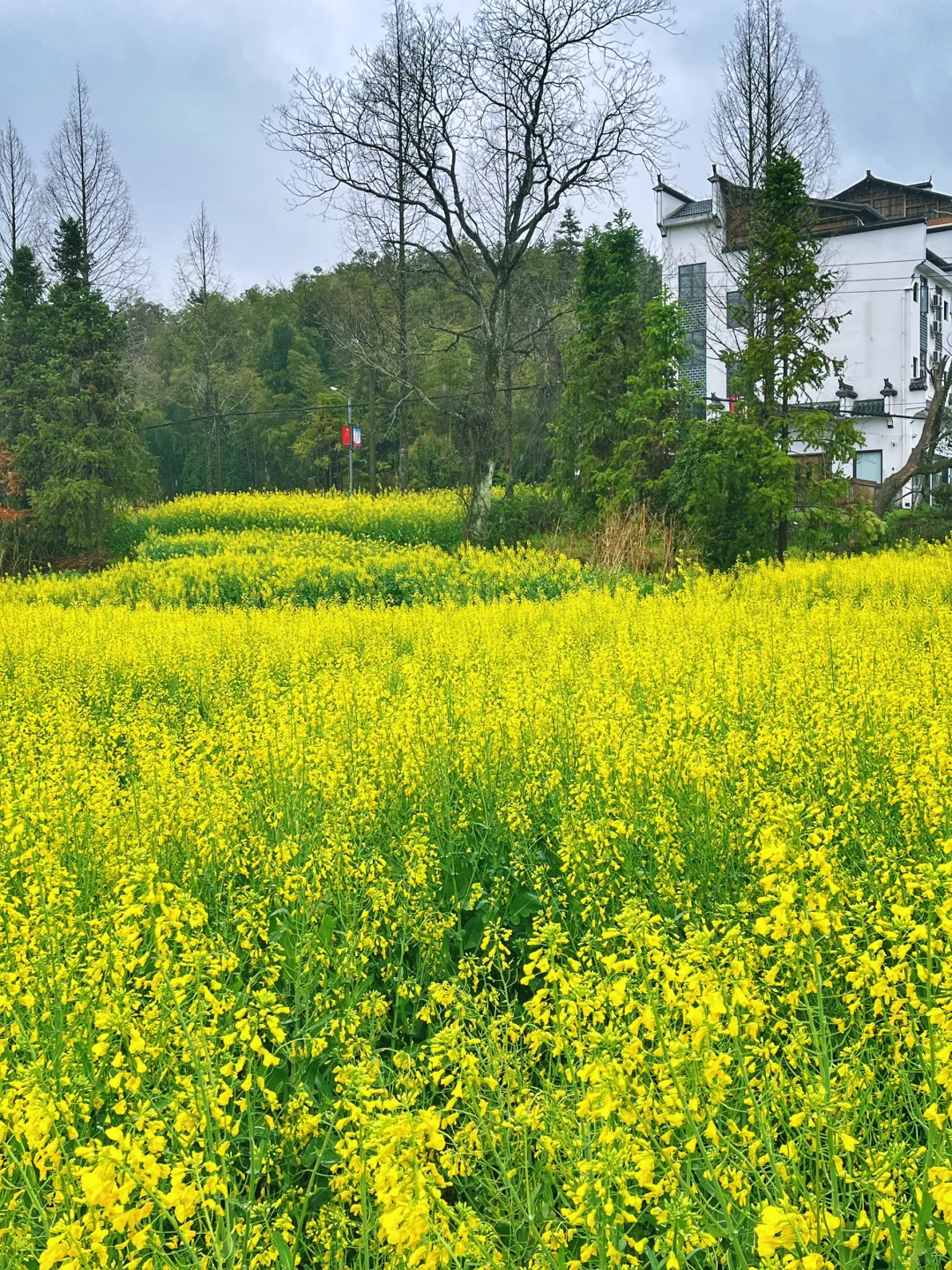 冷门景点都是有原因的！