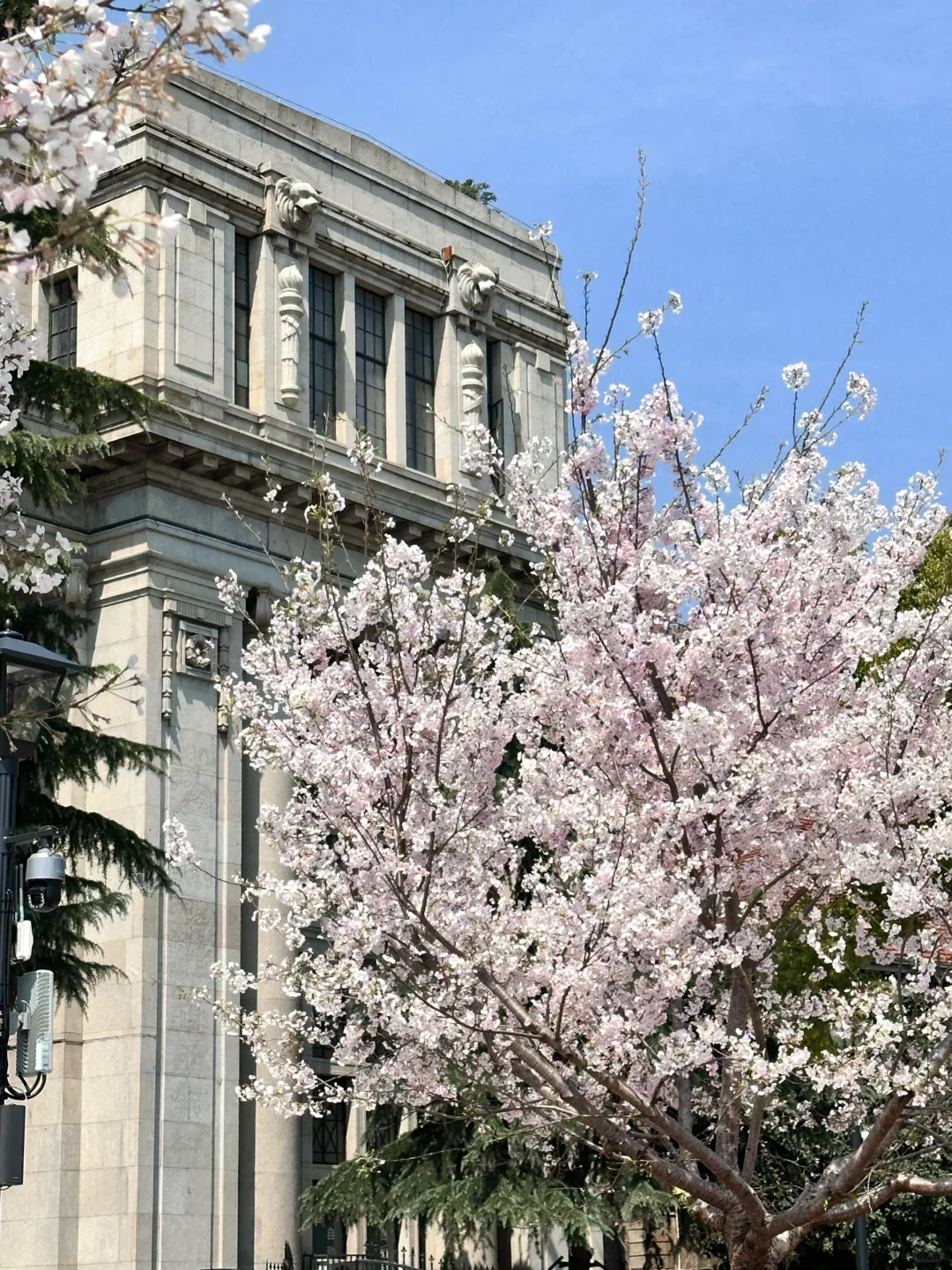 对自己做的武汉🌸攻略满意得睡不着…🥹🥹