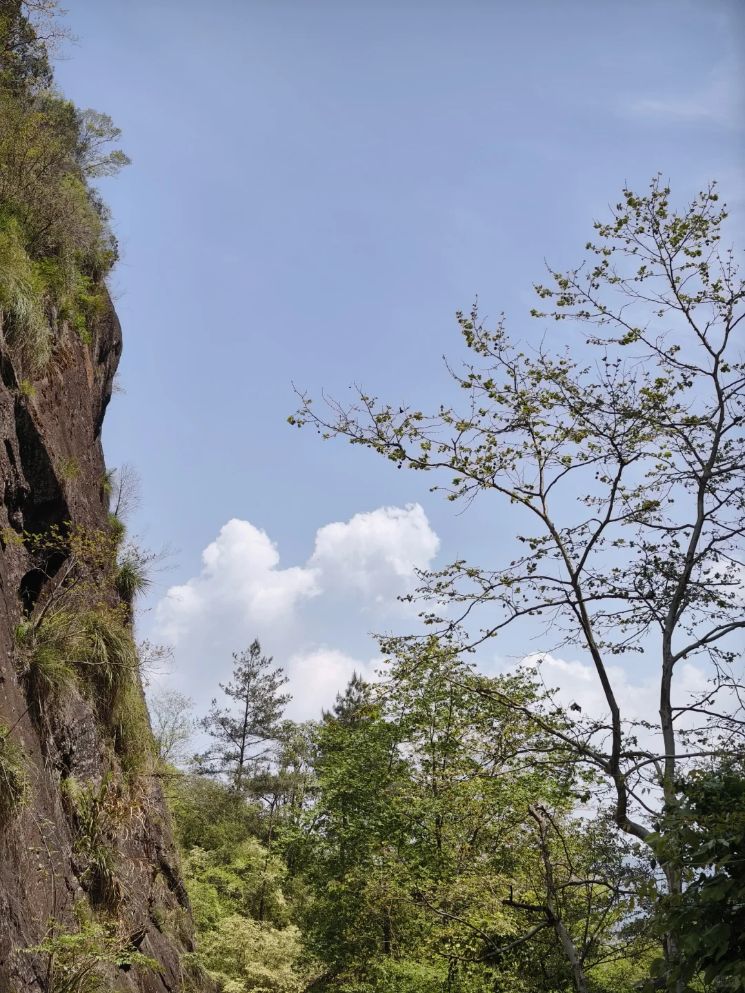 武夷山三日游🏔人均1.5k松弛感旅游攻略②