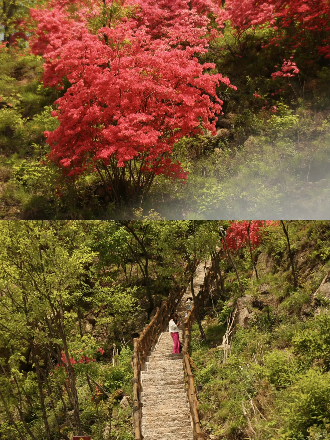 就在洛阳！不允许有人不知道这个小众景区！