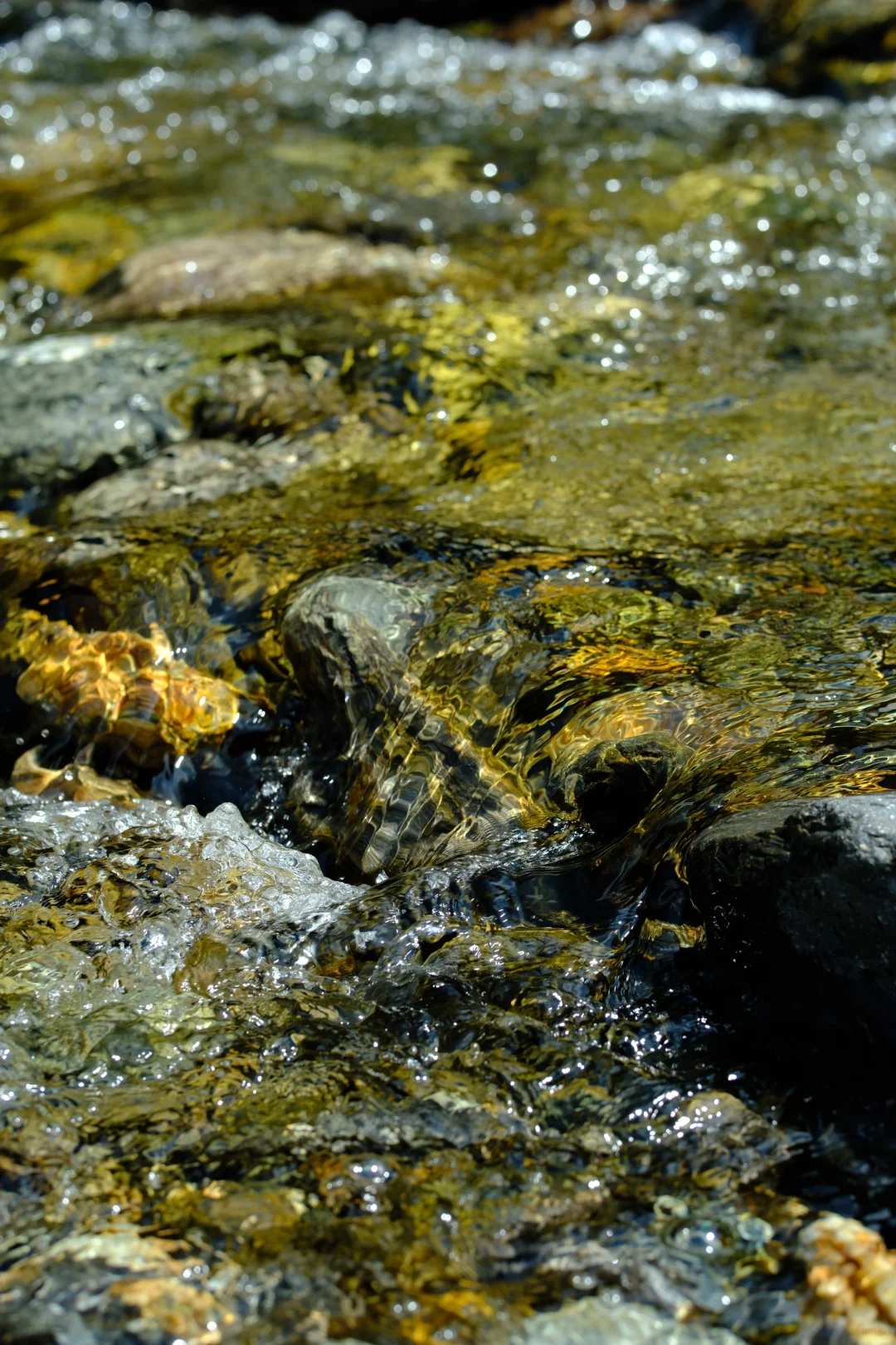 雨崩·雨后徒步