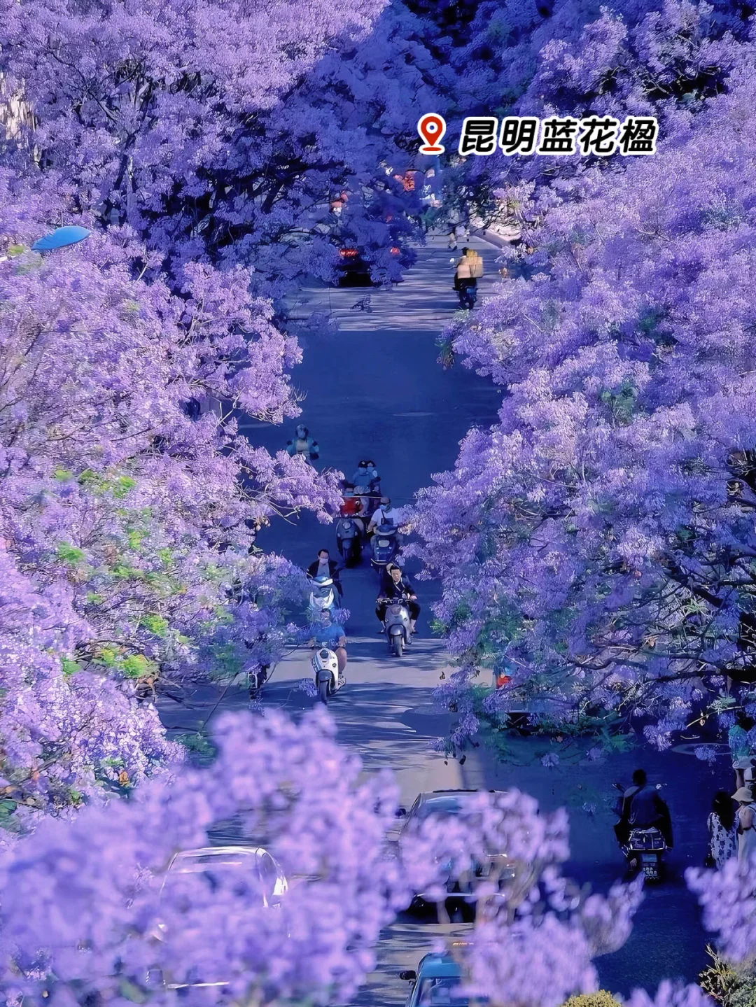 春风十里🌸不如一场说走就走的旅行