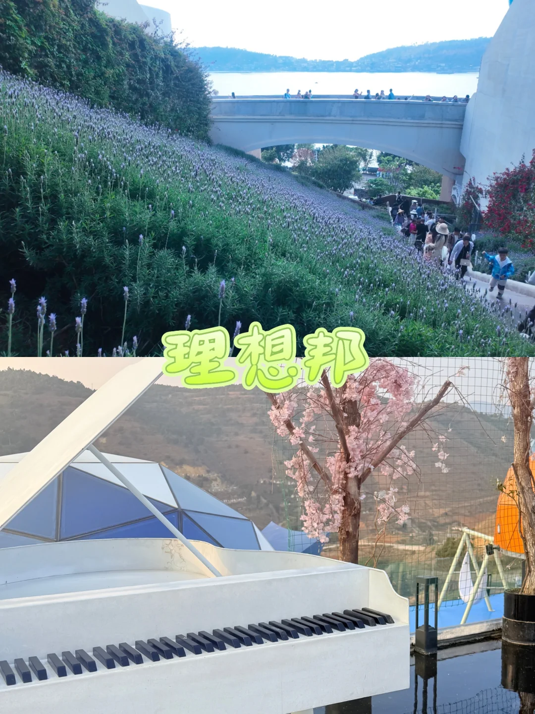 大理享受慢生活的旅游攻略