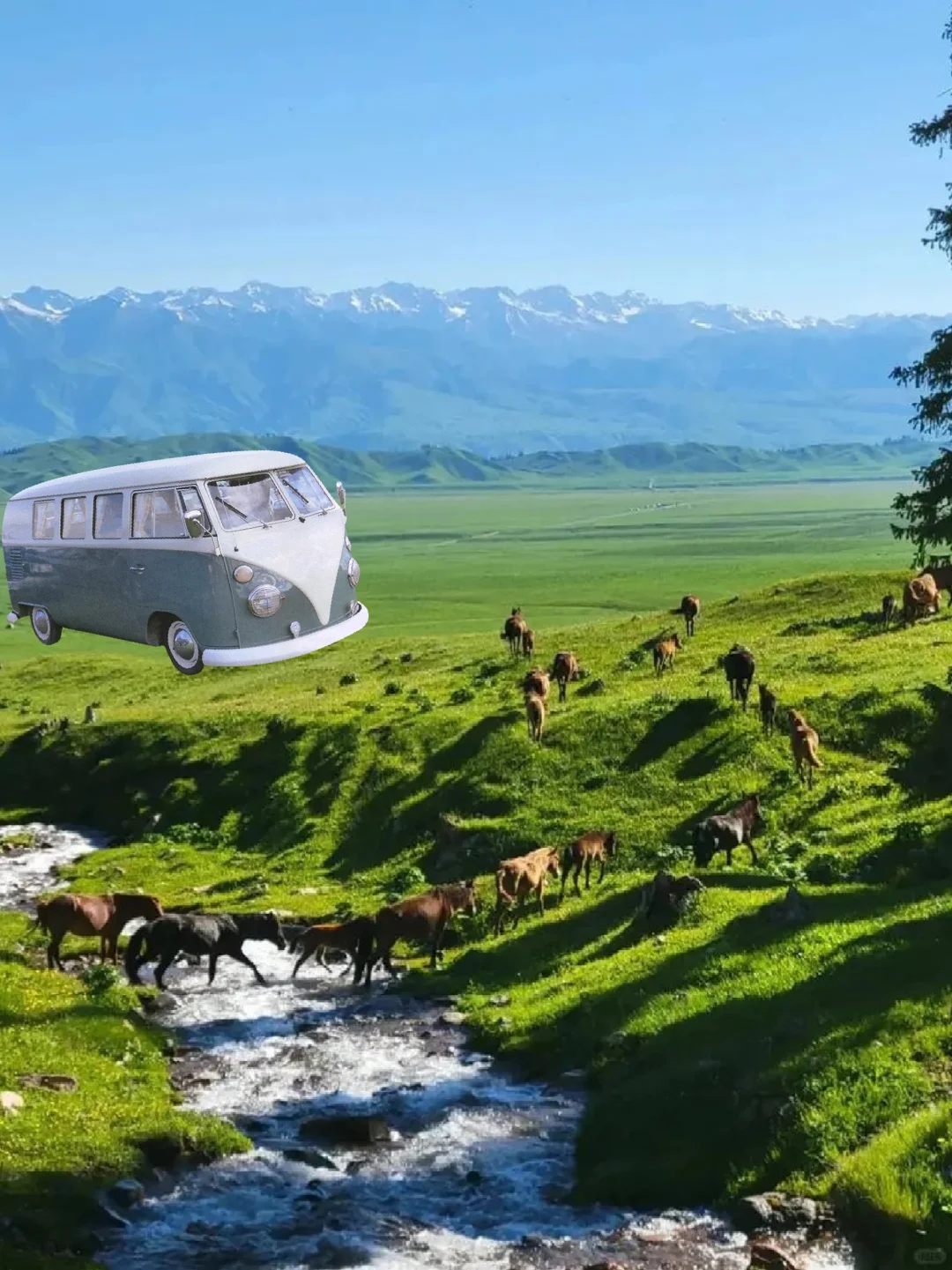 去伊犁一定要多带裤子！！