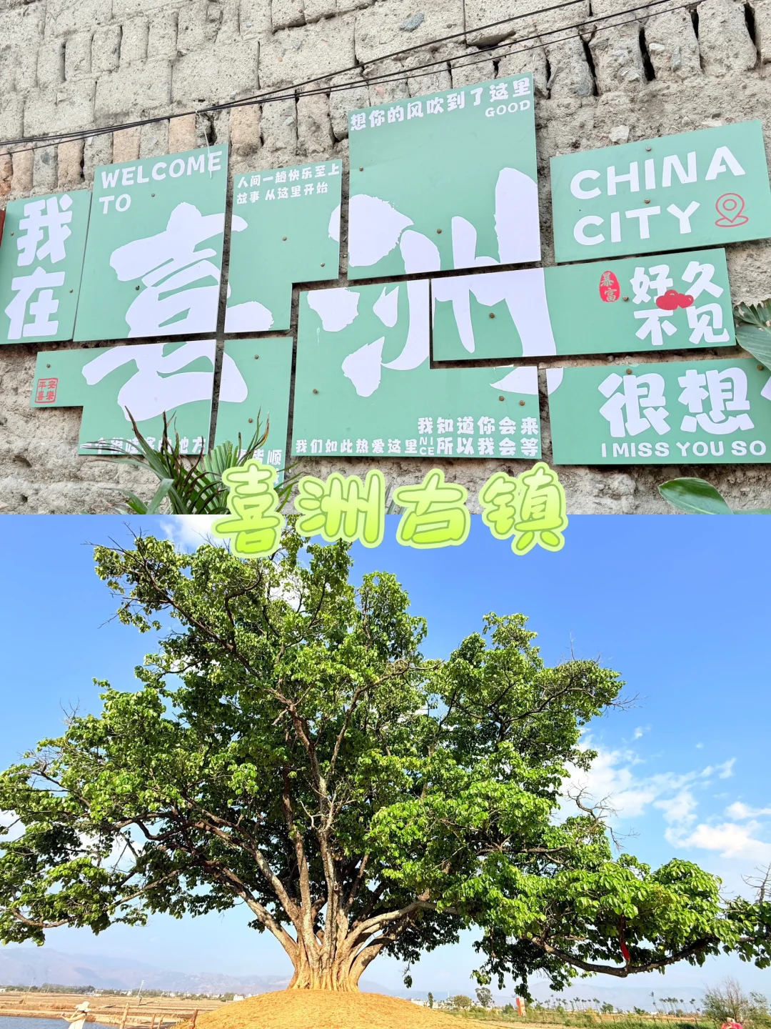 大理享受慢生活的旅游攻略