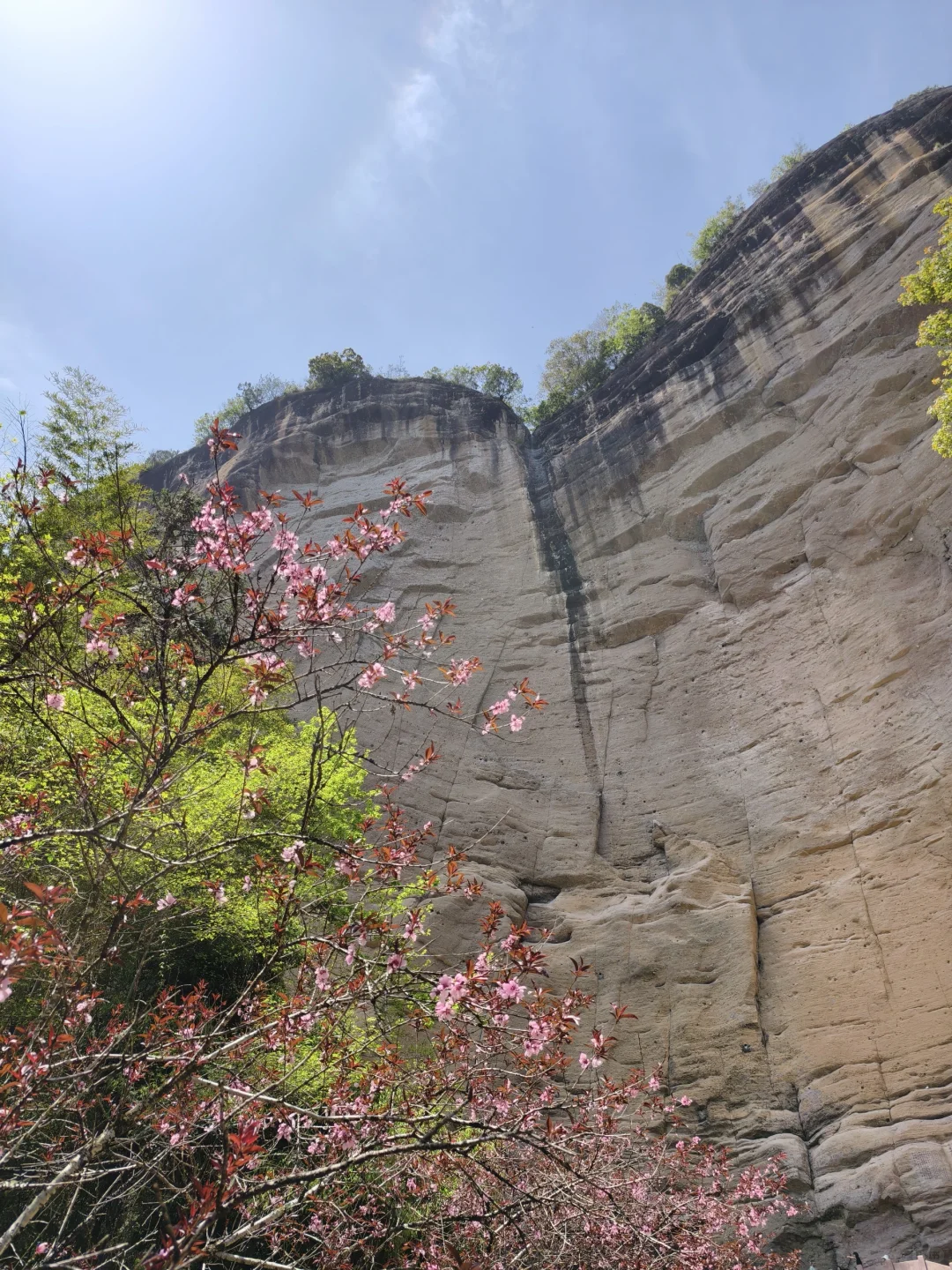 武夷山三日游🏔人均1.5k松弛感旅游攻略②