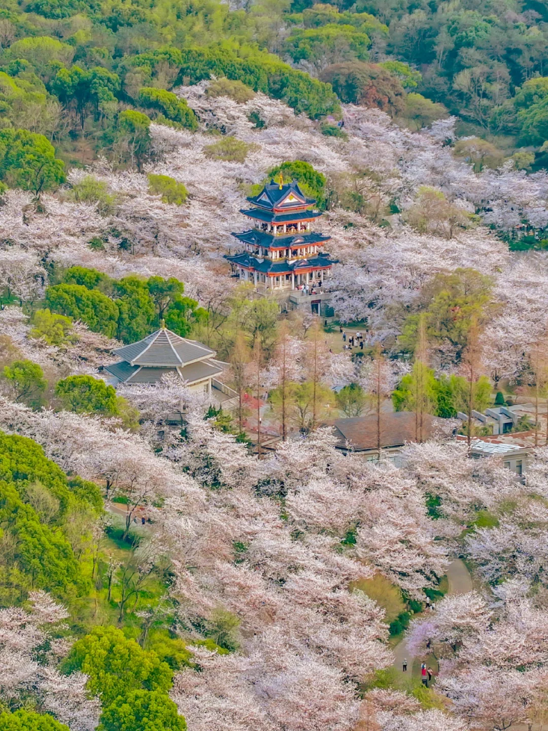 4月来无锡旅游🌸建议直接复制这条路线❗