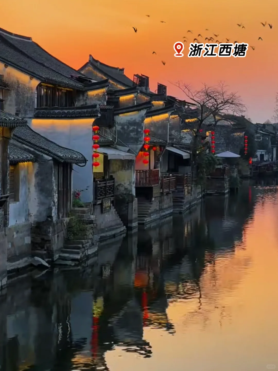 春风十里🌸不如一场说走就走的旅行