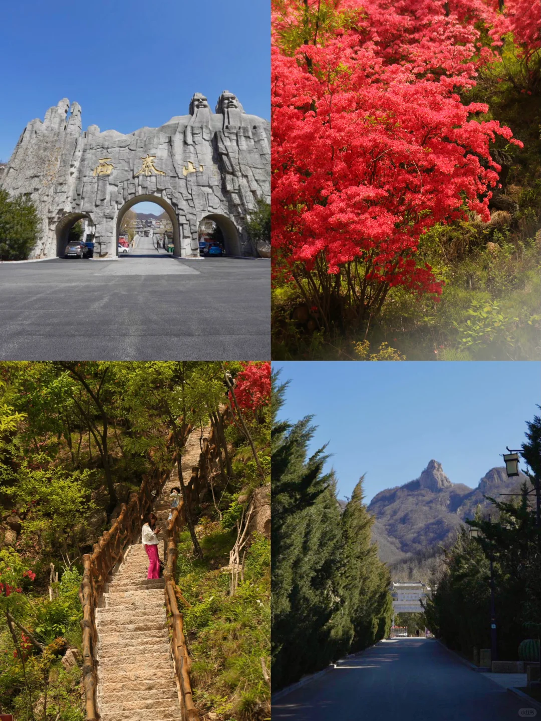 就在洛阳！不允许有人不知道这个小众景区！