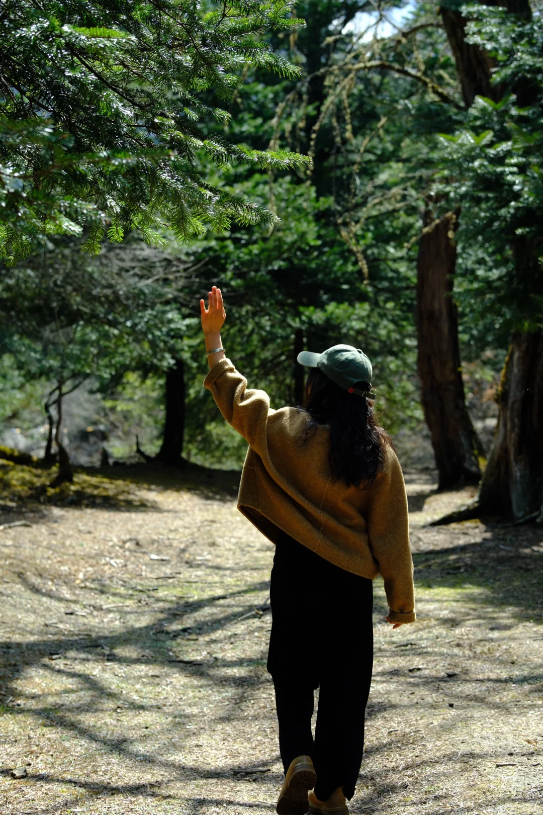 雨崩·雨后徒步