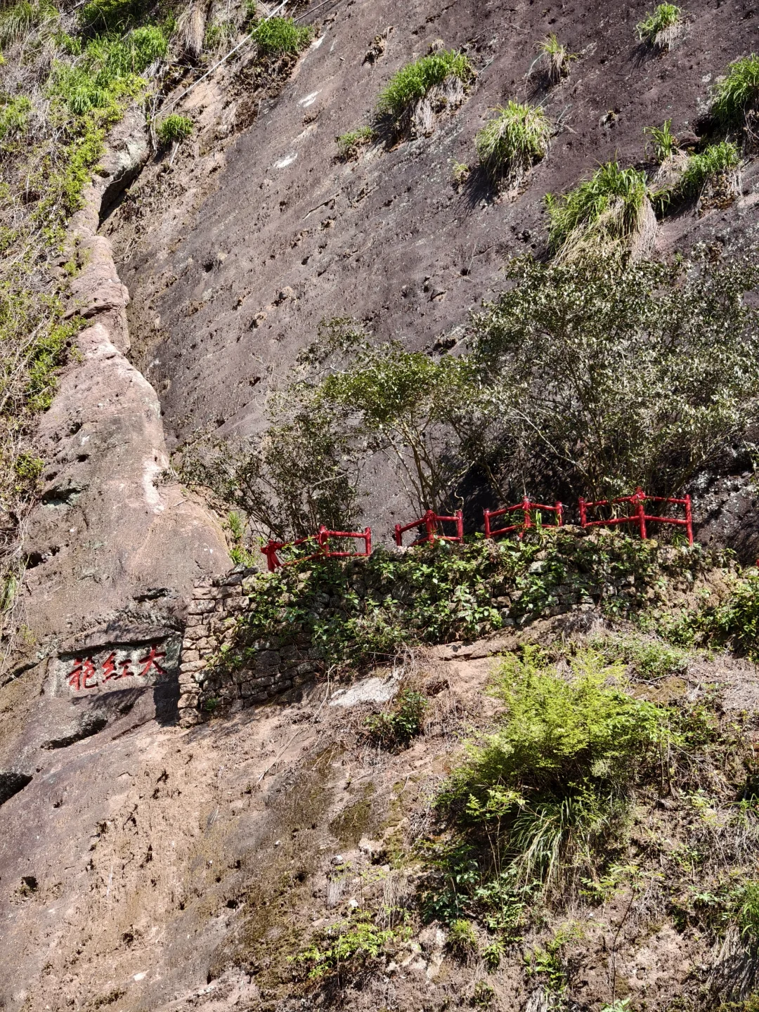 武夷山三日游🏔人均1.5k松弛感旅游攻略②