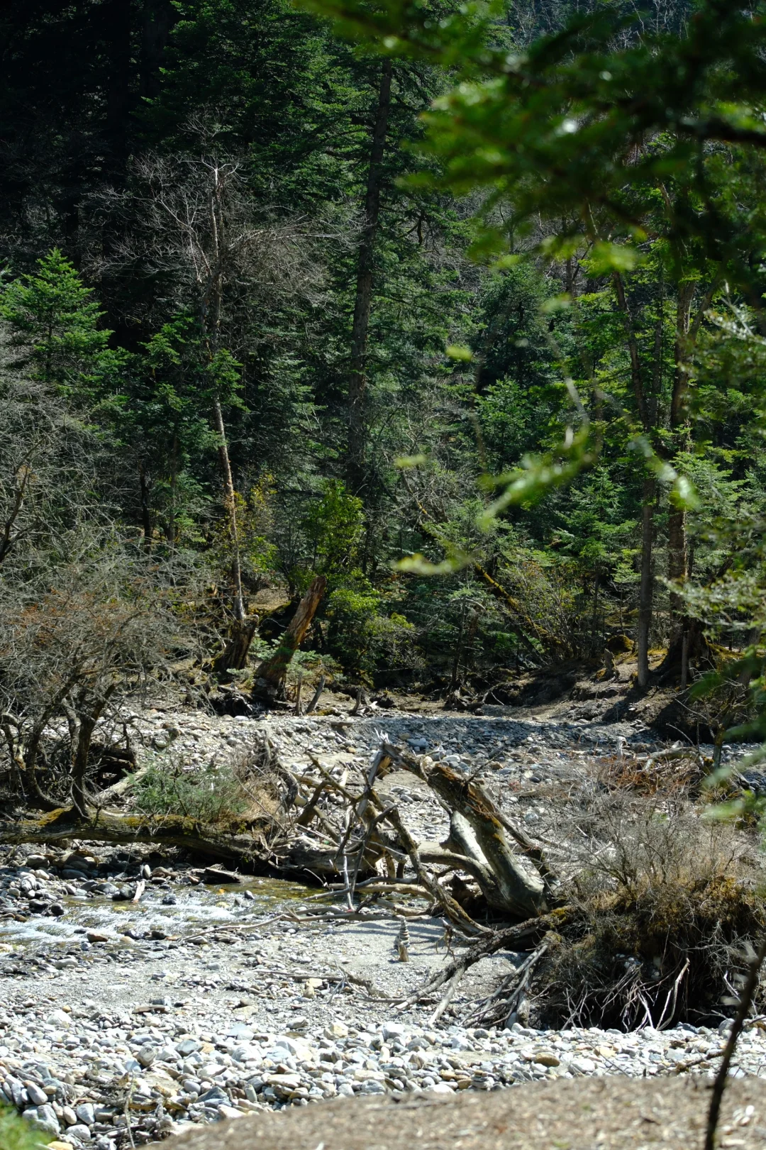 雨崩·雨后徒步
