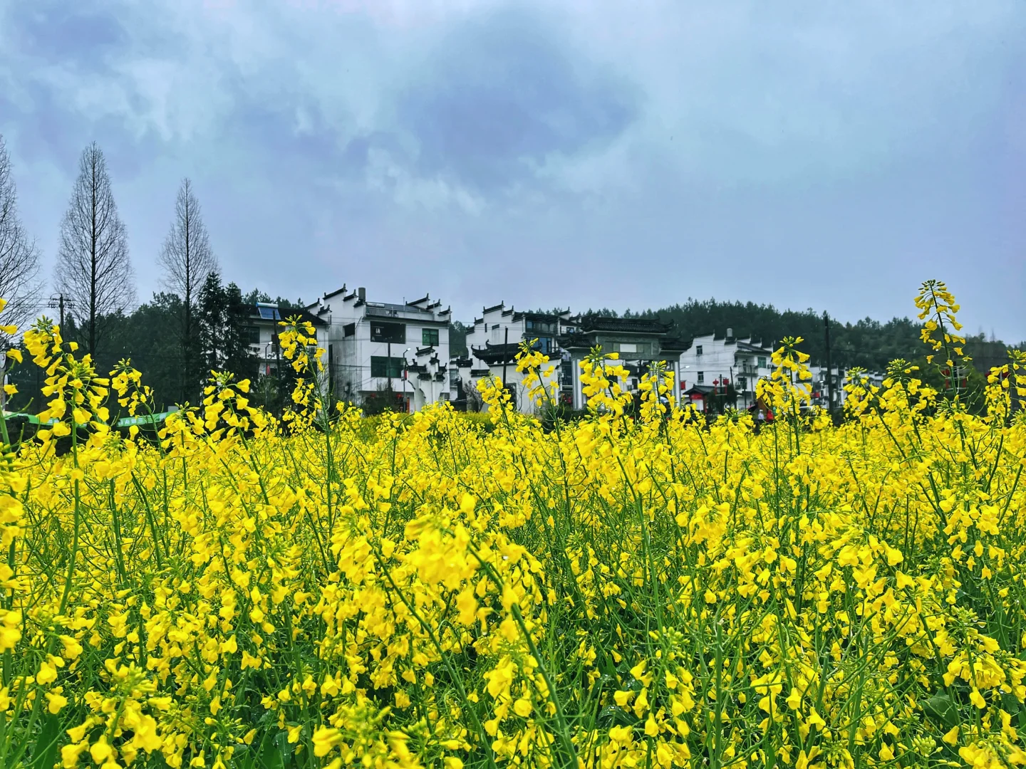 冷门景点都是有原因的！