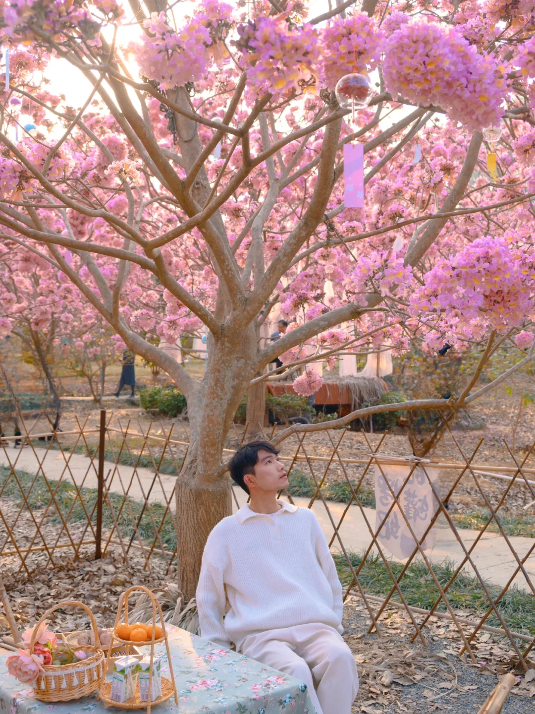 我宣布：这是广东最美的粉色花海🌸