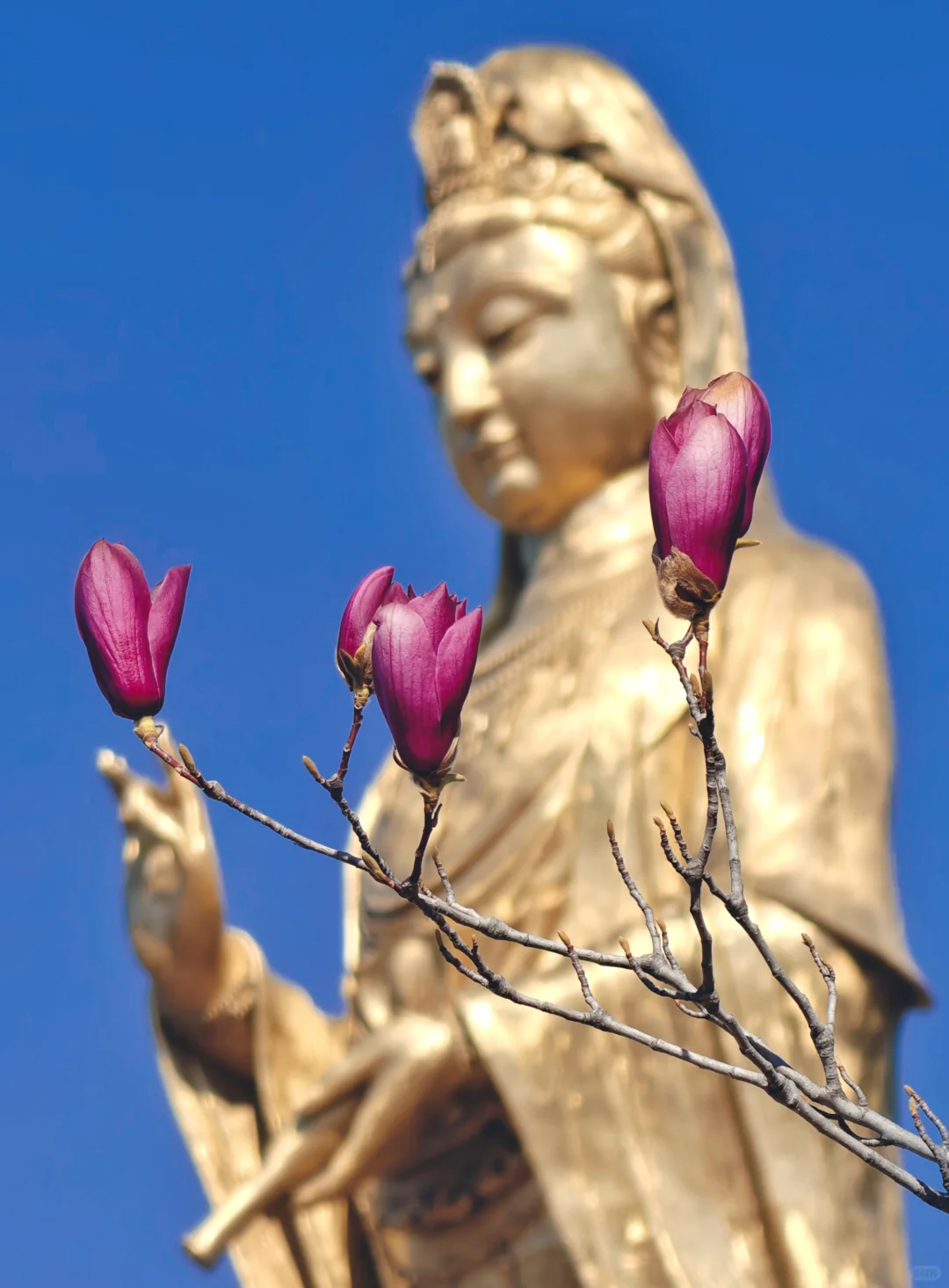 密云冶仙塔景区