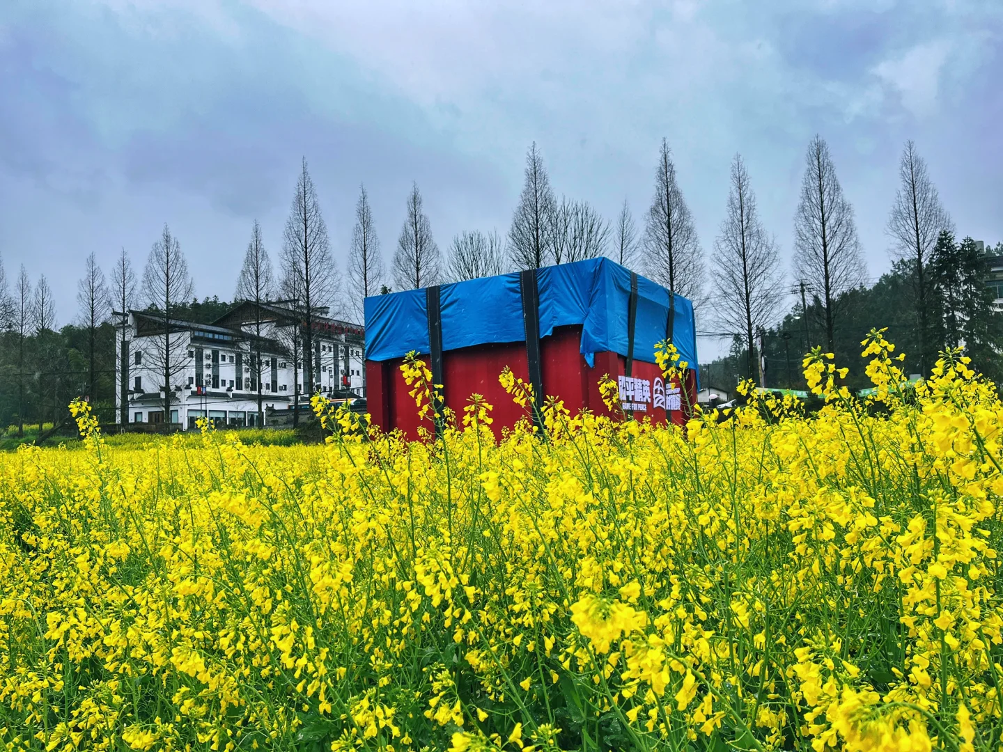 冷门景点都是有原因的！