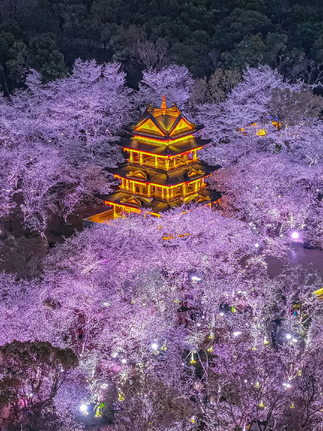 4月来无锡旅游🌸建议直接复制这条路线❗